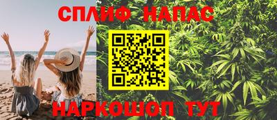 шишки Моздок