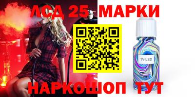 шишки Моздок