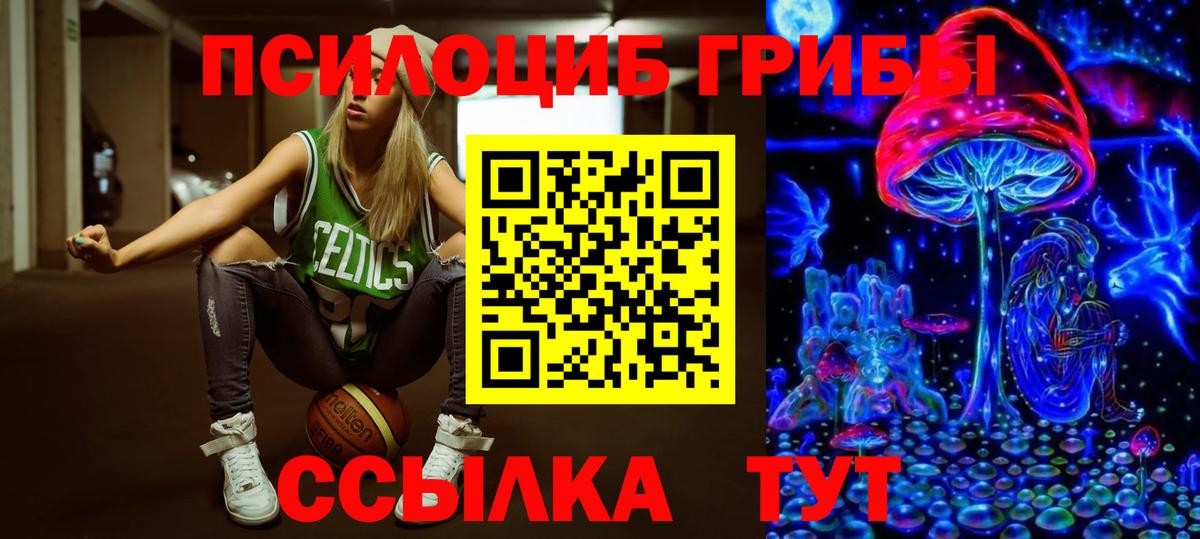 Псилоцибиновые грибы мицелий Сокол
